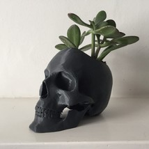Skull Pot Planter Flower Pot Planter Hand-Made Succulent Decoration 3D Printed 1 - £11.22 GBP