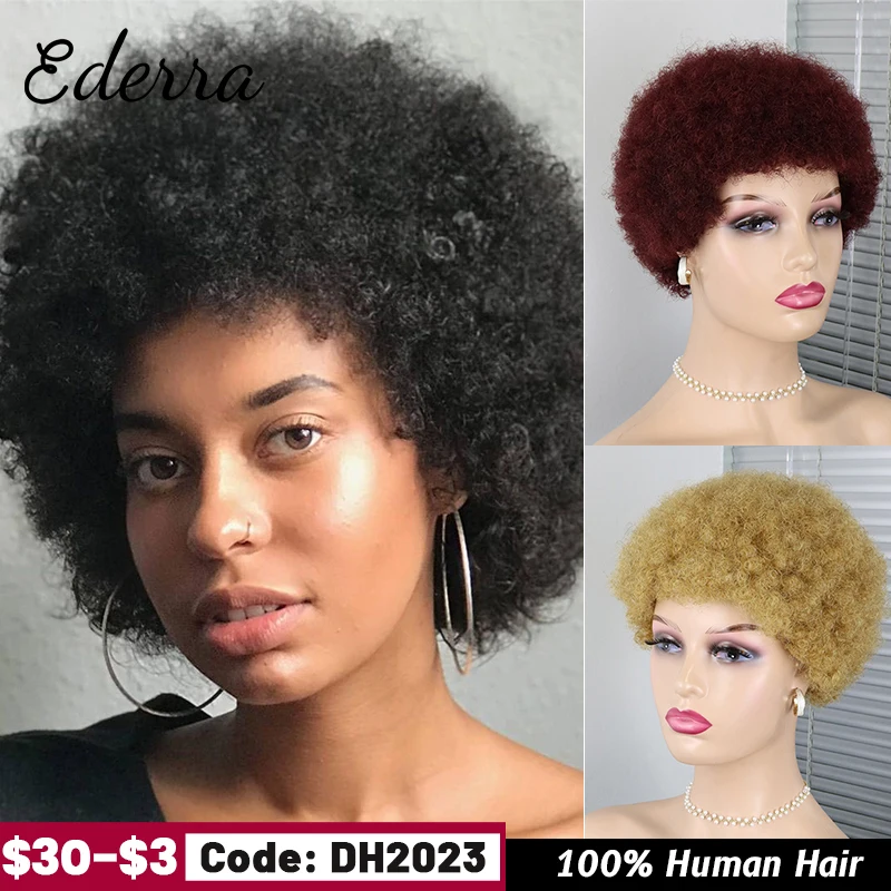 Short Afro Kinky Curly Hair Wigs For Black Women African Fluffy Afro Kin... - $20.31