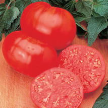 THJAR Tomato, Beefsteak, Meaty, 1-2 Lb Fruit, 35 Seeds! Groco - £6.31 GBP