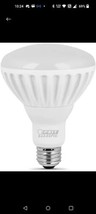 Bulb Led Dim Med 13w/75w Repl,No BR30/DM/LED,  Feit Electric - £7.87 GBP