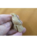 (y-BIR-SO-32) little tan SONGBIRD BIRD stone soapstone CARVING PERU love... - $166.86 MXN