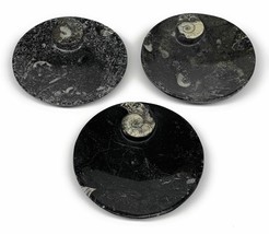 562g, 3pcs, 4.4&quot; Small Black Fossils Ammonite Orthoceras Bowl Round Ring,B8839 - £36.76 GBP