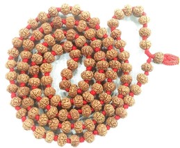 Rare Rudraksha Pathri Chikna beads Mala - 6 mm - 108+1 beads - Certified - $113.84