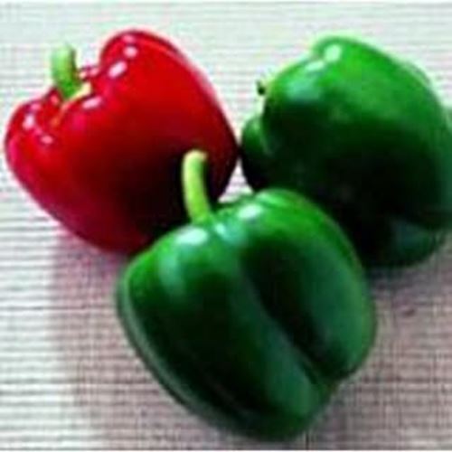 PM King of The North Sweet Peppers Seeds (20+ Seeds) | Non GMO | Vegetab... - $3.98