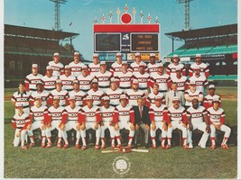 1982 Chicago White Sox Team Photo Comiskey Park Carlton Fisk Harold Baines - £7.82 GBP