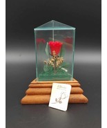 Vintage Lifesake Flowers Real Rose Glass Case Music Box Nadia&#39;s Theme - $14.80