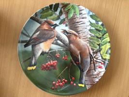 Cedar Waxwing Birds of your Garden collection by Kevin Daniel Knowles pl... - $45.00