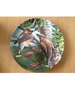 Cedar Waxwing Birds of your Garden collection by Kevin Daniel Knowles pl... - £35.97 GBP