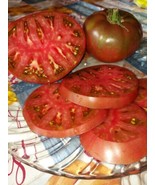 Tomato Purple Cherokee Buy 1 Get 1 50% Off Heirloom Organic - $10.92 CAD
