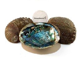 Item image 12