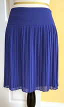 ANN TAYLOR LOFT Purple Pleated Short Lined Flared Skirt (4) - $17.64