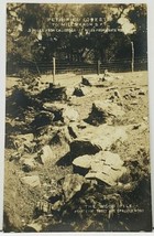 Petrified Forest The Wood Pile Hearts of Trees RPPC Real Photo Vtg Postcard J2 - £7.77 GBP
