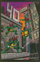 Jim Lawson SIGNED w/ Original Art Sketch Teenage Mutant Ninja Turtles Ar... - $767.09 MXN
