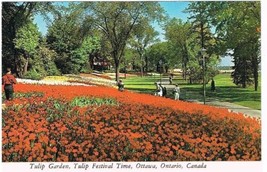 Ontario Postcard Ottawa Canadian Tulip Festival Tulip Garden - £1.70 GBP