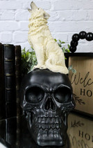 Gothic Full Moon Howling White Wolf Sitting On Black Macabre Skull Figurine - £23.17 GBP