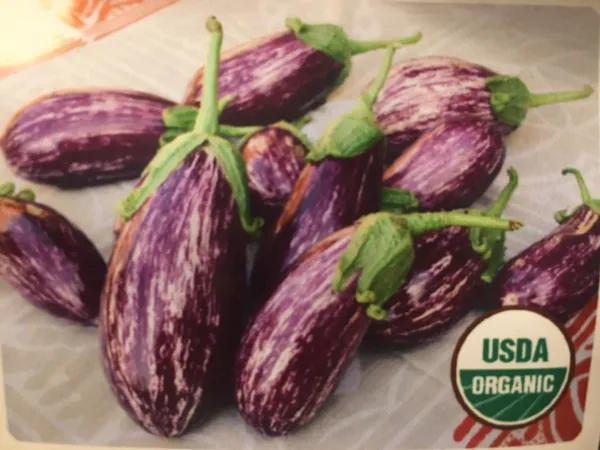 100+ Organic Listada De Gandia Eggplant Seeds Certified Usda Organic Usa Fresh - £6.27 GBP