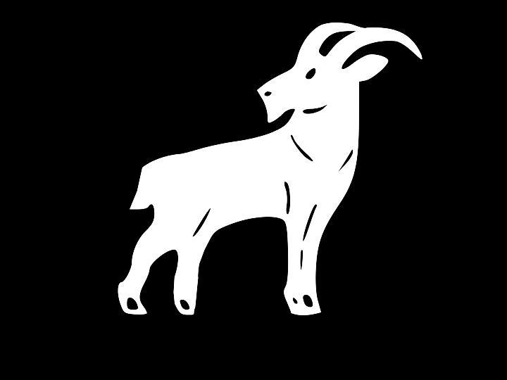 CAPRICORN Glyph Birth Sign Astrology Zodiac Vinyl Decal Car Sticker Choose Size