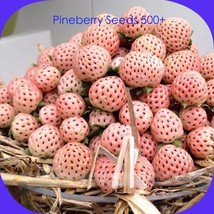  Fresh Pineberry 500 Ivory-White Berries Organic Heirloom Fruits #LG00009 Seeds - £7.83 GBP