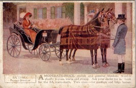 5A Horse Essex Square Blanket Advertising Pretty Woman In Carriage Postcard Z5 - £11.76 GBP