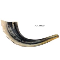 Natural Kosher Jewish Polished Shofar Ram Horn 11 - 13&quot;(25-29 cm) Israel - $48.99
