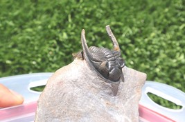 Item image 15