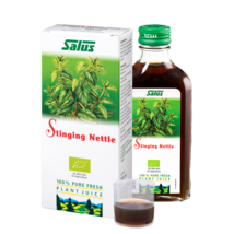 Stinging nettle urtica dioica, urtica erens 100% fresh plant juice  salu... - $21.29