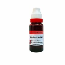 Dr. Reckeweg Germany Homeopathic Berberis Vulgaris Mother Tincture Q (20ml) - $7.91