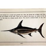 Swordfish 1939 Salt Water Fish Gordon Ertz Color Plate Print Antique PCBG19 - $547.38 MXN