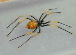 LARGE Hand Blown Venetian Glass Spider Sculpture Figurine Yellow Black - £39.19 GBP