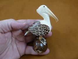 TNE-BIR-PE-224d) white brown Pelican bird sea birds TAGUA palm NUT Figurine - £31.84 GBP