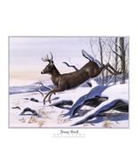 YOUNG BUCK ART PRINT 8 X10 BY DON BALKE - $108.01 MXN