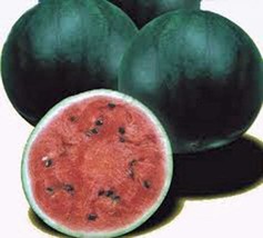 Watermelon Seeds, Sugar Baby, Heirloom, Organic, 500 Seeds, Non Gmo, Watermelons - £7.04 GBP