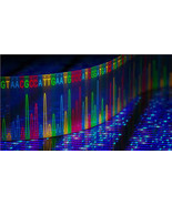 Haunted DNA Sequencing Unlocking your Natural energies and Abilities - $177.77