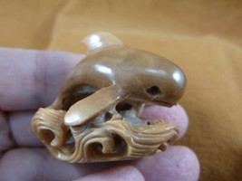 (tb-whal-46) baby Killer Whale Tagua NUT palm figurine Bali carving Orca whales - £40.88 GBP