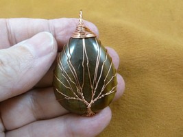 (j472-89) Brown Tiger&#39;s eye Tree of Life teardrop gemstone wrapped wired pendant - £19.21 GBP