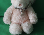 Gund Pink Teddy Bear Fuzzbuster Stuffed Animal Toy 1414 - £23.73 GBP