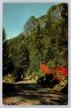 mckenzie pass postcard Cascade range VTG UNP tour 76 union gasoline made... - $5.84