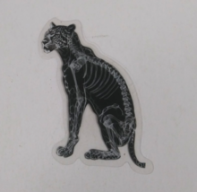 Cheetah X-Ray Transparent Sticker 2.25&quot; x 2&quot; (AL) - $1.64