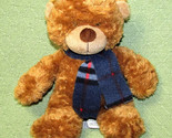 AURORA WINTER BONNIE BEAR BONNY TEDDY  PLUSH Blue Plaid Scarf 9&quot; Stuffed... - $9.00