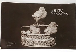 RPPC Happy Easter CUTE CHICKS by the Rotograph  Co 1907 Fayette IA Postcard F11 - £9.45 GBP