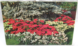 L.L. Cook Postcard Poinsettas Mitchell Park Milwaukee Wisconsin 82272 Ek... - $2.96