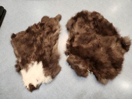 JR42 Lot of 2 Rabbit Pelt Hide Skin Fur - $19.77