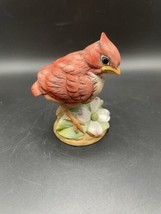 Baby Cardinal Bird By Andrea Sadek 9601 Porcelain on Dogwood Japan VTG - $23.06