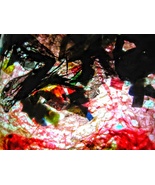 Recycled plastic red and blue abstract photo stock,Sprinkle abstract,Dou... - $3.80