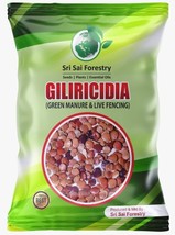 Gliricidia Tree Seebs 500 Gram For Fodder Manure live Fencing of Agriculture - £87.12 GBP