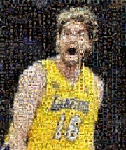 Amazing LA Lakers Pau Gasol Montage Limited Edition COA - £9.17 GBP
