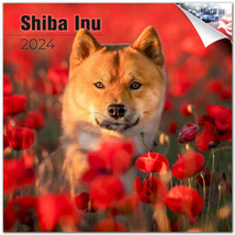 SHIBA INU Wall Calendar 2024 Animal DOG PET Lover Gift - £19.45 GBP