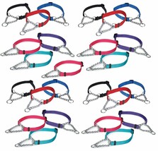 25 Chain Martingale Dog Collar Bulk Shelter Rescue Vet Assorted Color Pick Size - £175.15 GBP+