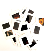 1980s Insects Bugs Lot Of 24 Pcs 35mm Slides Moths Ants Bees Beetles E50K - $462.01 MXN