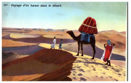 Voyage Of A Harem In The Desert Egypt Postcard - £4.04 GBP